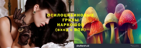 PSILOCYBIN Абинск