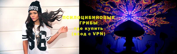 прущие грибы Алексин