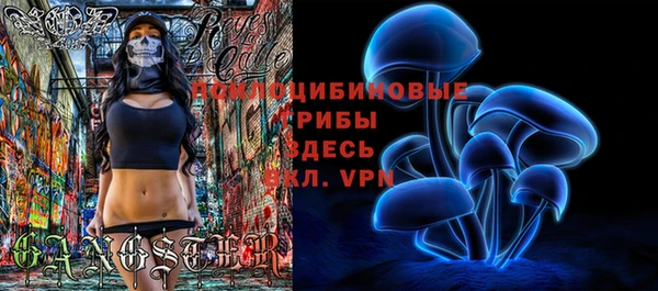 соль курить ск Абаза